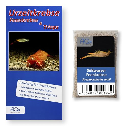 Stachelschwanz Feenkrebs Streptocephalus sealii - mit Anleitung - Urzeitkrebse aus Amerika für kleines Aquarium von AQ4Aquaristik