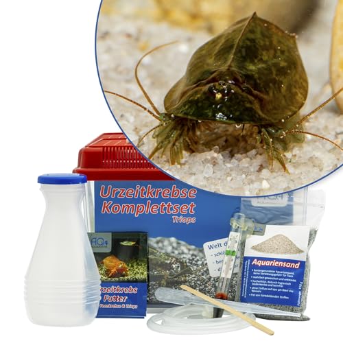 Triops cancriformis simplex Starterset: Urzeitkrebse Eier, 2,5 l Aquarium, Zubehör, Futter und Anleitung von AQ4Aquaristik