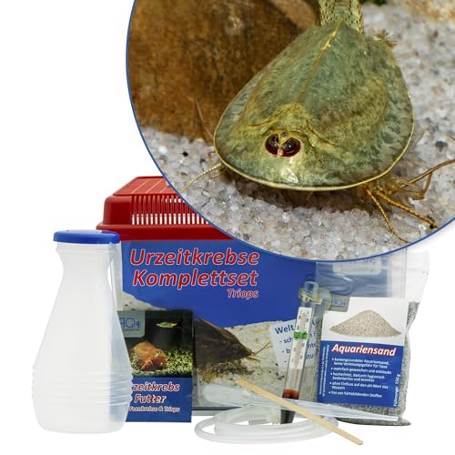 Triops mauritanicus (grün) Starterset: Urzeitkrebse Eier, 2,5 l Aquarium, Zubehör, Futter und Anleitung von AQ4Aquaristik