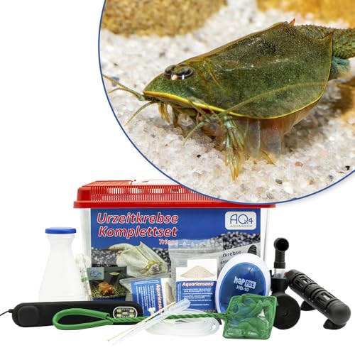 Triops australiensis Ayers Rock (grün) Premium Komplettset 6L mit LED, Filterung. Heizung, Zuchtansatz, Zubehör von AQ4Aquaristik