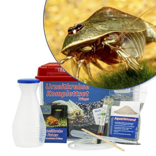 Triops cf. longicaudatus Hawaii Starterset: Urzeitkrebse Eier, 2,5 l Aquarium, Zubehör, Futter und Anleitung von AQ4Aquaristik