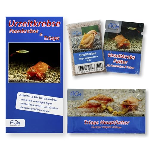 Triops longicaudatus (rot) - Starter Set mit ca. 100 Urzeitkrebse Eiern - mit Urzeitkrebse Futter, Triops Hauptfutter und Anleitung - rote Amerikanische Schildkrebs von AQ4Aquaristik