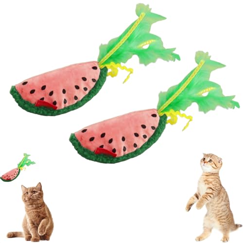 AQCQDQ 2 Stück Katzenspielzeug Quietschende Mit Crinkle Papier, Kreative Früchte Wassermelone Kuscheltier Katzenminze Puppe, Interaktives Robustes Katzenspielzeug Katze Beschäftigung (#A) von AQCQDQ