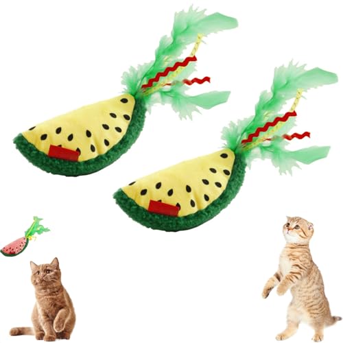 AQCQDQ 2 Stück Katzenspielzeug Quietschende Mit Crinkle Papier, Kreative Früchte Wassermelone Kuscheltier Katzenminze Puppe, Interaktives Robustes Katzenspielzeug Katze Beschäftigung (#B) von AQCQDQ