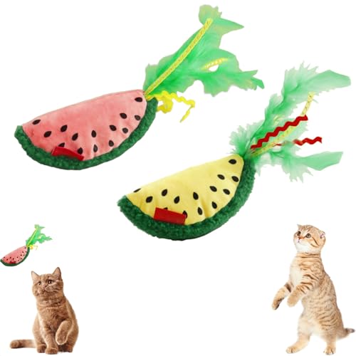 AQCQDQ 2 Stück Katzenspielzeug Quietschende Mit Crinkle Papier, Kreative Früchte Wassermelone Kuscheltier Katzenminze Puppe, Interaktives Robustes Katzenspielzeug Katze Beschäftigung (#C) von AQCQDQ