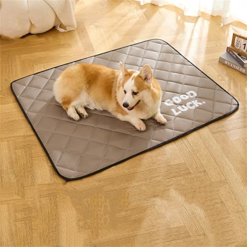 AQCQDQ Haustier Kühlmatte, Selbstkühlende Hundematte, Cooling Mat Dog, Kühldecke Hund Ohne Gel Kühlendes Hundebett Aus Eisseide Für Hunde Und Katzen, Sommer Waschbares Kühlkissen (Kaffee,XXL) von AQCQDQ