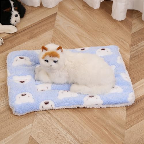 AQCQDQ Hundedecke, Hundedecke Flauschig, Hundematratze, Vier Jahreszeiten Universal-Haustiermatte, Hundekissen für Boden, Bett, Sofa, Auto Kofferraum (Blaubär,80 * 100 cm) von AQCQDQ