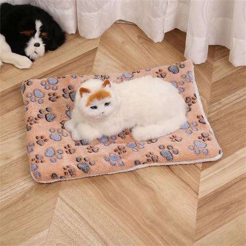 AQCQDQ Hundedecke, Hundedecke Flauschig, Hundematratze, Vier Jahreszeiten Universal-Haustiermatte, Hundekissen für Boden, Bett, Sofa, Auto Kofferraum (Braune Kralle,30 * 40 cm) von AQCQDQ