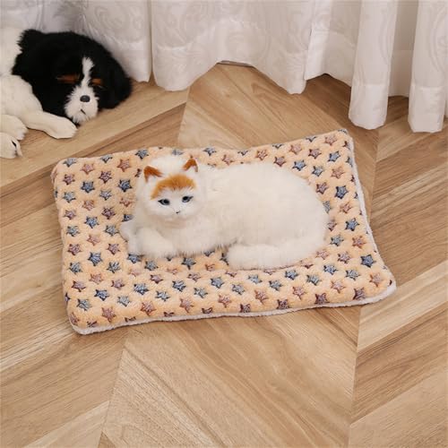 AQCQDQ Hundedecke, Hundedecke Flauschig, Hundematratze, Vier Jahreszeiten Universal-Haustiermatte, Hundekissen für Boden, Bett, Sofa, Auto Kofferraum (Brauner Stern,80 * 100 cm) von AQCQDQ