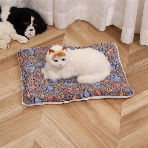 AQCQDQ Hundedecke, Hundedecke Flauschig, Hundematratze, Vier Jahreszeiten Universal-Haustiermatte, Hundekissen für Boden, Bett, Sofa, Auto Kofferraum (Kaffee-Kralle,80 * 100 cm) von AQCQDQ