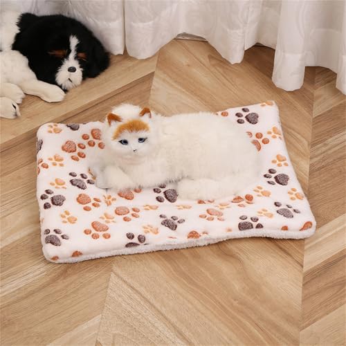 AQCQDQ Hundedecke, Hundedecke Flauschig, Hundematratze, Vier Jahreszeiten Universal-Haustiermatte, Hundekissen für Boden, Bett, Sofa, Auto Kofferraum (Weiße Kralle,30 * 40 cm) von AQCQDQ