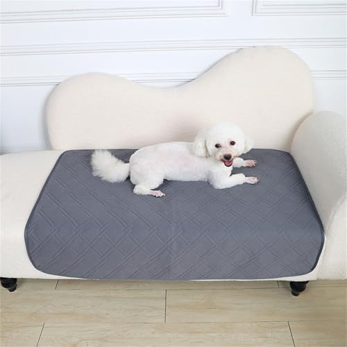 AQCQDQ Hundedecke, Inkontinenzunterlage Waschbar, rutschfest, Saugfähig und Leicht Zu trocknen, Hundedecke Sofa, für Sofa, Bett & Auto (B,60 * 45 cm) von AQCQDQ