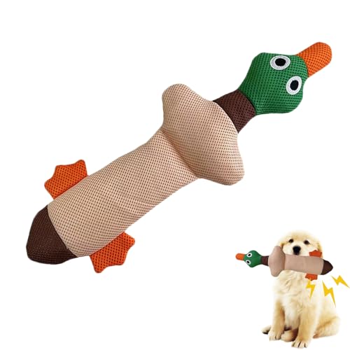 AQCQDQ Hundespielzeug Quietschend Unzerstörbar Plüsch, Welpenspielzeug Kauspielzeug Robustes Kuscheltier Hunde Spielzeug, Interaktives Plüschtier Beißfest Zahnpflege (Beige) von AQCQDQ