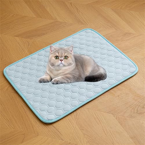 AQCQDQ Kühlmatte Hund, Sommer Selbstkühlend Kühldecke Für Hunde Katzen, Waschbares Komfortabel Kühlbett Haustiermatte Aus Eisseide Für Sofa, Fußboden, Auto (Blau-#b,100x70 cm) von AQCQDQ