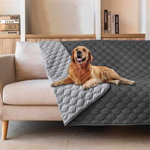 AQCQDQ wasserdichte Hundedecke, Hundedecke Sofaschutz, Hundedecke Couch, rutschfest Hundekissen, für Boden, Bett, Sofa, Auto Kofferraum (Grau,100 * 127 cm) von AQCQDQ