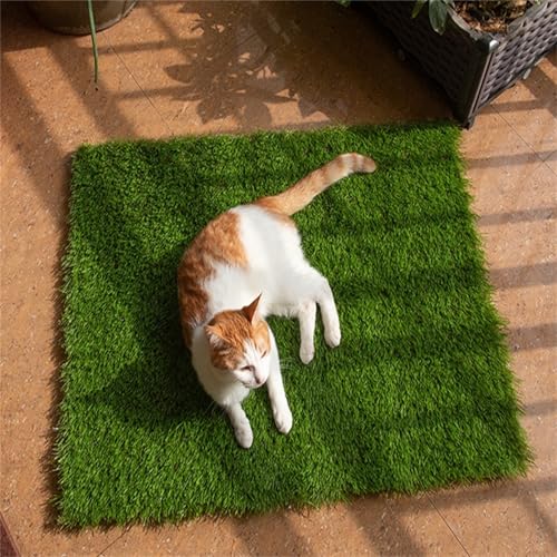 Haustier-Rasenmatte, Kunstrasen Hundeklo Balkon Hundetoilette, Training Pee Pads, Hundetoiletten für den Innen- und Außenbereich (30 * 30 * 2 cm) von AQCQDQ