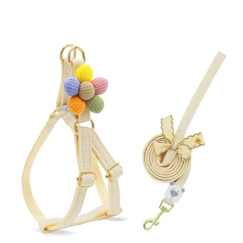 Haustiergeschirr mit Leine, 3D-Blumendekor, verstellbare Schnalle, kein Ziehen, ausbruchsicher, für kleine Hunde Halsband Kaninchen Geschir Elastischer Gehgeschirr für Kleintiere (Beige,M) von AQCQDQ