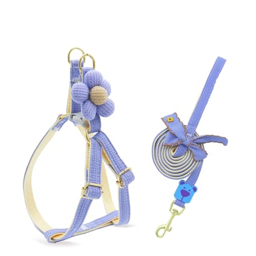 Haustiergeschirr mit Leine, 3D-Blumendekor, verstellbare Schnalle, kein Ziehen, ausbruchsicher, für kleine Hunde Halsband Kaninchen Geschir Elastischer Gehgeschirr für Kleintiere (blau,S) von AQCQDQ