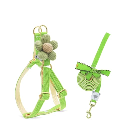 Haustiergeschirr mit Leine, 3D-Blumendekor, verstellbare Schnalle, kein Ziehen, ausbruchsicher, für kleine Hunde Halsband Kaninchen Geschir Elastischer Gehgeschirr für Kleintiere (grün,S) von AQCQDQ