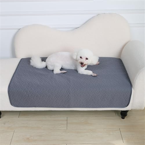 Hundedecke, Inkontinenzunterlage Waschbar, rutschfest, Saugfähig und Leicht Zu trocknen, Hundedecke Sofa, für Sofa, Bett & Auto (A,50 * 35 cm) von AQCQDQ