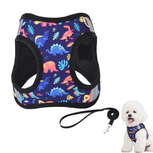 Hundegeschirr Kleine Hunde mit Leine, Hundeschlittengeschirr, Hunde Zuggeschirr, Brustgeschirr Hund Anti Zug, Katzengeschirr Sicherheitsgeschirr Verstellbares, Reflektierend (M,Blau) von AQCQDQ