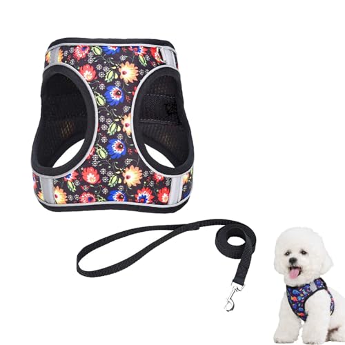 Hundegeschirr Kleine Hunde mit Leine, Hundeschlittengeschirr, Hunde Zuggeschirr, Brustgeschirr Hund Anti Zug, Katzengeschirr Sicherheitsgeschirr Verstellbares, Reflektierend (M,Schwarz) von AQCQDQ