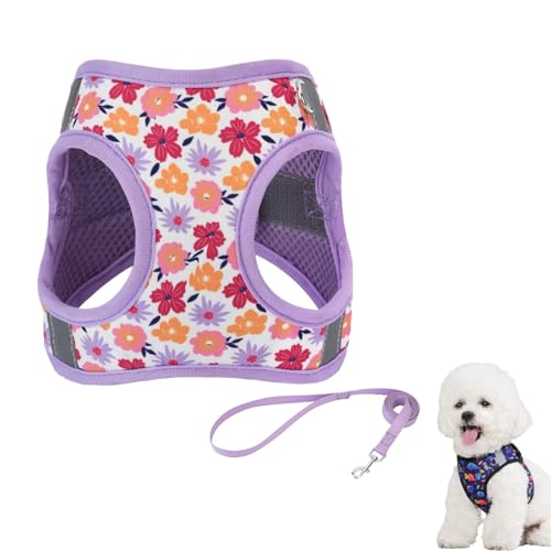 Hundegeschirr Kleine Hunde mit Leine, Hundeschlittengeschirr, Hunde Zuggeschirr, Brustgeschirr Hund Anti Zug, Katzengeschirr Sicherheitsgeschirr Verstellbares, Reflektierend (S,Lila) von AQCQDQ