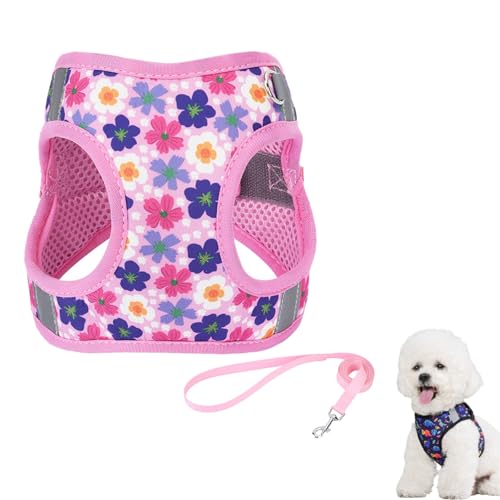 Hundegeschirr Kleine Hunde mit Leine, Hundeschlittengeschirr, Hunde Zuggeschirr, Brustgeschirr Hund Anti Zug, Katzengeschirr Sicherheitsgeschirr Verstellbares, Reflektierend (XS,Rosa) von AQCQDQ