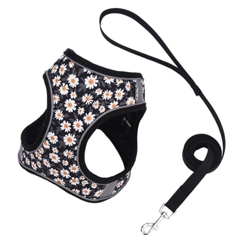 Hundegeschirr mit Leine, Hunde Zuggeschirr, Sicherheitsgeschirr Hund Ausbruchsicher, Hundeschlittengeschirr, Panikgeschirr für Hunde, Verstellbares Welpengeschirr (XS,Schwarz) von AQCQDQ