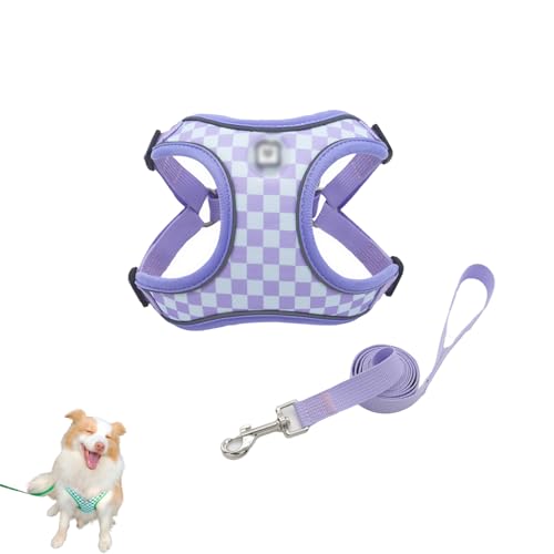 Hundegeschirr und Leine Set, Verstellbares Welpengeschirr, Hunde Zuggeschirr, Reflektierend Atmungsaktiv Brustgeschirr Anti Zug Katzengeschirr Sicherheitsgeschirr (M,Blau) von AQCQDQ