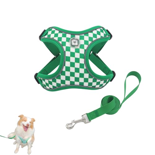 Hundegeschirr und Leine Set, Verstellbares Welpengeschirr, Hunde Zuggeschirr, Reflektierend Atmungsaktiv Brustgeschirr Anti Zug Katzengeschirr Sicherheitsgeschirr (S,Grün) von AQCQDQ