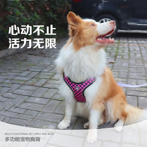 Hundegeschirr und Leine Set, Verstellbares Welpengeschirr, Hunde Zuggeschirr, Reflektierend Atmungsaktiv Brustgeschirr Anti Zug Katzengeschirr Sicherheitsgeschirr (XL,Rot) von AQCQDQ