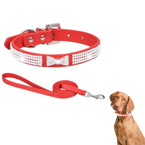 Hundehalsband mit Leine, Hundehalsband mit Strasssteinen Leder, Lederhalsband Hund, Funkelnd Hundehalsbänder mit Strass Katzenhalsband für Mädchen, Prinzessin, Haustiere (M,Rot) von AQCQDQ