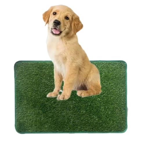 Hundeklo Kunstrasen Hundetoilette, Haustier-Rasenmatte, Hunde Training Rasenmatte, Wiederverwendbar Training Pee Pads für Kleine und Mittelgroße Haustiere (46 * 71 cm) von AQCQDQ