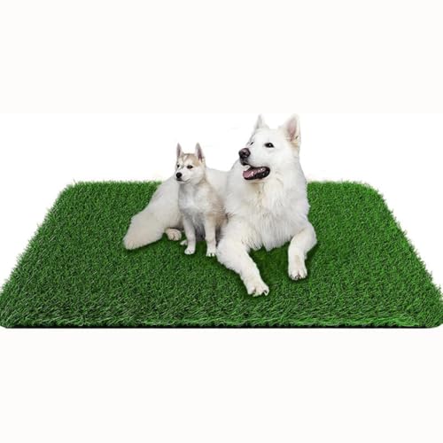 Hundeklo Welpen Training Hundetoilette Ersatzrasen, Kunstrasen Hundeklo Hundetoilette Ersetzen Rasen Welpentoilette Wiederverwendbar Training Pee Pads für Balkon, Garten (Schwarzer Boden,80 * 100cm) von AQCQDQ