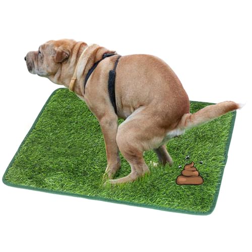 Hunderasen-Töpfchen, Kunstrasenteppich Rasen für Hunde, Training Pee Pads, für das Training Ihres Welpen Geeignet für den Innen- und Außenbereich (46 * 70 cm) von AQCQDQ