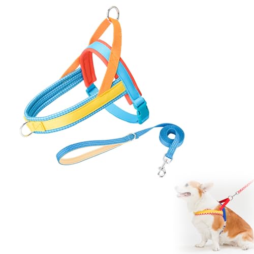 Hundeschlittengeschirr, Hunde Zuggeschirr, Hundegeschirr mit Leine, Sicherheitsgeschirr Hund Ausbruchsicher, Verstellbar, für Kleine Mittelgroße und Große Hunde (M,Blau) von AQCQDQ