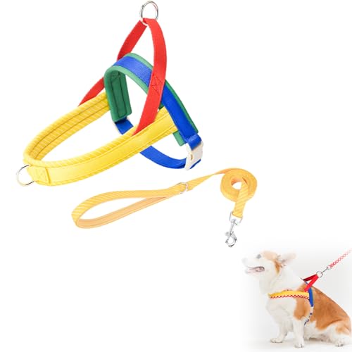 Hundeschlittengeschirr, Hunde Zuggeschirr, Hundegeschirr mit Leine, Sicherheitsgeschirr Hund Ausbruchsicher, Verstellbar, für Kleine Mittelgroße und Große Hunde (S,Gelb) von AQCQDQ