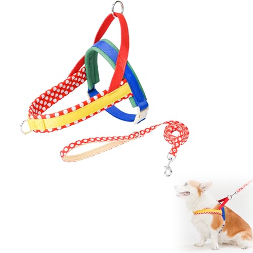 Hundeschlittengeschirr, Hunde Zuggeschirr, Hundegeschirr mit Leine, Sicherheitsgeschirr Hund Ausbruchsicher, Verstellbar, für Kleine Mittelgroße und Große Hunde (S,Rot) von AQCQDQ