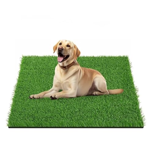 Hundetoilette, Künstliche Grasmatten, Waschbar Hunde Training Rasenmatte, Training Pee Pads für Kleine Grosser ältere Hunde (45 * 60 cm) von AQCQDQ
