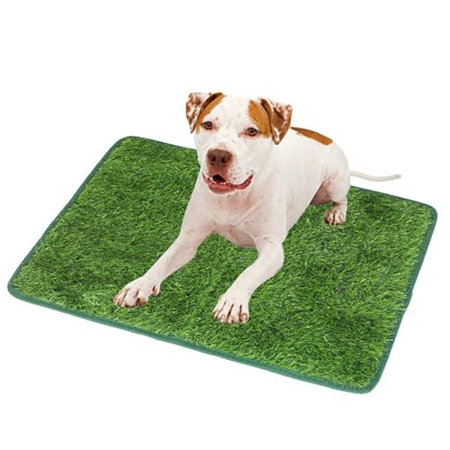 Hundetoilette, Wiederverwendbar Training Pee Pads, Waschbar Hunde Training Rasenmatte, für Kleine Grosser ältere Hunde (46 * 36 cm) von AQCQDQ
