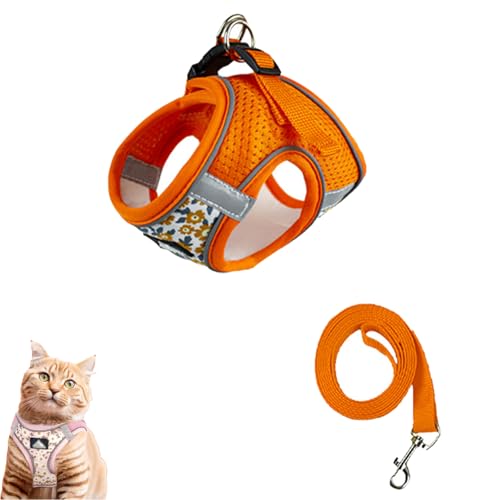 Katzengeschirr Sicherheitsgeschirr, Hundegeschirr mit Leine, Brustgeschirr Hund Anti Zug, Hundeschlittengeschirr Geschirr Reflektierend Atmungsaktiv, Verstellbares Welpengeschirr (XL,Orange) von AQCQDQ