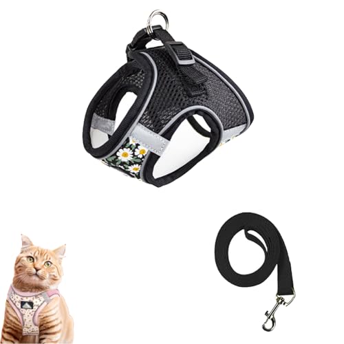Katzengeschirr Sicherheitsgeschirr, Hundegeschirr mit Leine, Brustgeschirr Hund Anti Zug, Hundeschlittengeschirr Geschirr Reflektierend Atmungsaktiv, Verstellbares Welpengeschirr (XS,Schwarz) von AQCQDQ