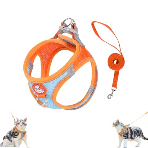 Katzengeschirr Sicherheitsgeschirr, Verstellbares Welpengeschirr, Hundegeschirr Kleine Hunde mit Leine, Reflektierend Atmungsaktiv Brustgeschirr Hund Anti Zug für Training Outdoor (S,Orange) von AQCQDQ