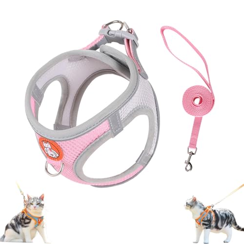 Katzengeschirr Sicherheitsgeschirr, Verstellbares Welpengeschirr, Hundegeschirr Kleine Hunde mit Leine, Reflektierend Atmungsaktiv Brustgeschirr Hund Anti Zug für Training Outdoor (S,Rosa) von AQCQDQ