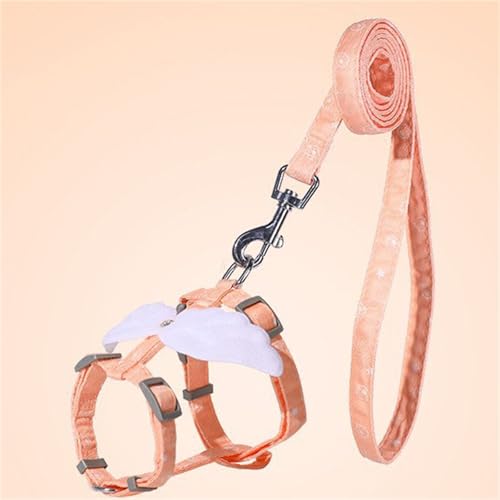 Katzengeschirr und Katzenleine Set,Verstellbare Nylon Geschirre Katzenleine, Ausbruchsicher Katzen Leine,Katzenweste mit Sicherheitsschnalle, Welpengeschirr für Kätzchen Welpe Kaninchen Hase (14,M) von AQCQDQ