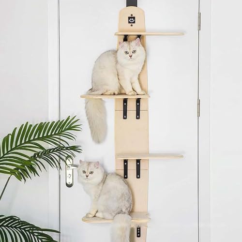 Katzenregal Zum Aufhängen An Der Tür, Klettergerüst Mit 4 Mehrstufigen Regalen, Abnehmbarer Weicher Matte, Mehrstufiges Katzenregal Für Wohnungskatzen (171 * 56.6cm,Holzfarbe) von AQCQDQ