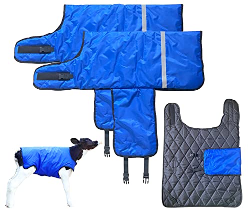 Wadendecke, Pferdedecke, verdickte warme Wadenbekleidung, Wadenbekleidung, warmes Artefakt, Kalb, kalte Kleidung, Wadenhalt, warme Kleidung, Pferdedecke für Rinder, Blau, 2 Stück Wadendecke, Pferdedecke, verdickte warme Wadenbekleidung, Wadenbekleidung, warmes Artefakt, Kalb, kalte Kleidung, Wadenhalt, warme Kleidung, Pferdedecke für Rinder, Blau, 2 Stück von AQINGR