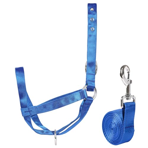 Wadenhalfter mit Führungsseil, verstellbares Wadenhalfter mit Führungsseil, für Miniaturpferd, Esel, Ziege, Fohlen, Nylon, Rinder-Trainingsbedarf, Blau, M von AQINGR