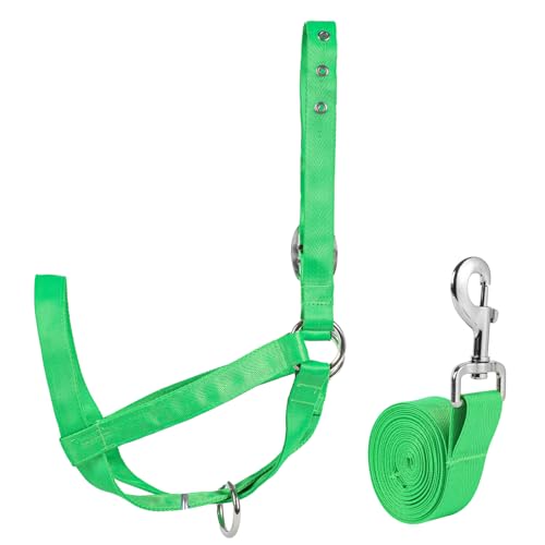 Wadenhalfter mit Führungsseil, verstellbares Wadenhalfter mit Führungsseil, für Miniaturpferd, Esel, Ziege, Fohlen, Nylon, Rinder-Trainingsbedarf, Grün, S Wadenhalfter mit Führungsseil, verstellbares Wadenhalfter mit Führungsseil, für Miniaturpferd, Esel, Ziege, Fohlen, Nylon, Rinder-Trainingsbedarf, Grün, S von AQINGR